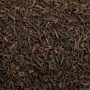 Earl Grey extra stark aromatisiert