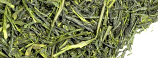 Japan Sencha