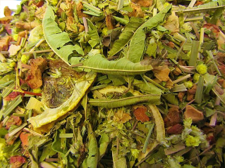 BIO - TERRA ThÉ VERBENE-ORANGE