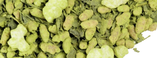 Genmaicha