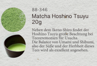 Matcha Hoshino Flyer
